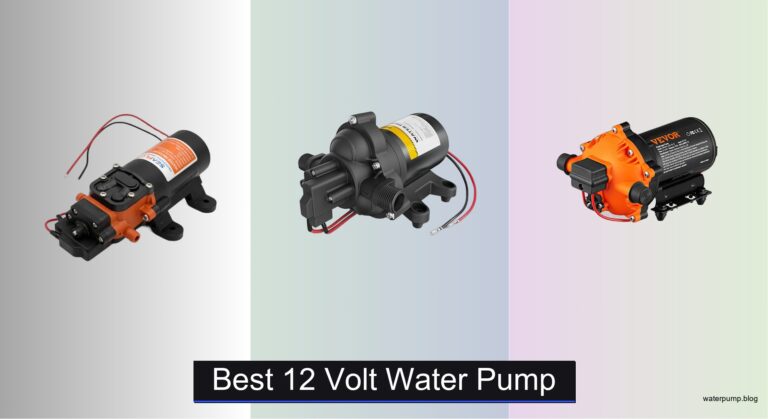 8 Best 12 Volt Water Pumps of 2026