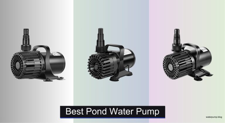 8 Best Pond Water Pumps of 2026
