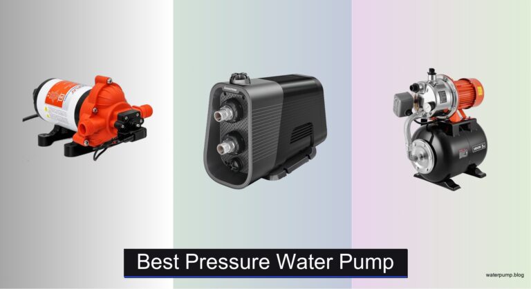8 Best Pressure Water Pumps of 2026