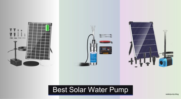 7 Best Solar Water Pumps of 2026