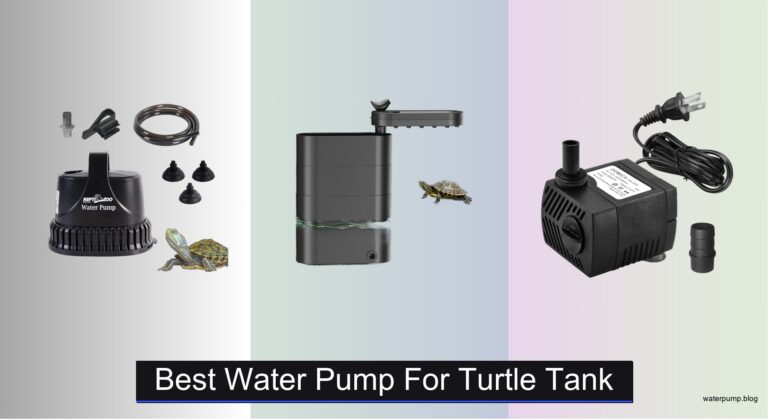 7 Best Water Pumps for Turtle Tanks (2026 Guide)