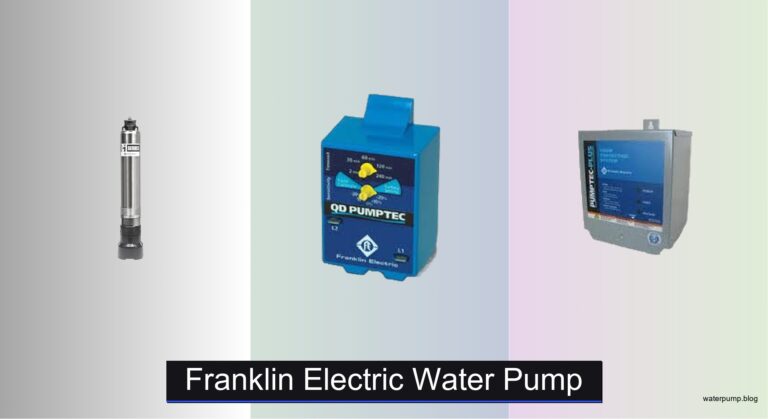 4 Best Franklin Electric Water Pumps of 2026