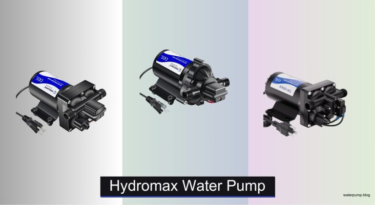 6 Best Hydromax Water Pumps of 2026