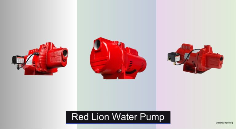 8 Best Red Lion Water Pumps of 2026