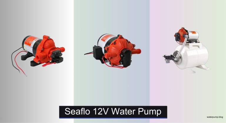 7 Best Seaflo 12V Water Pumps of 2026